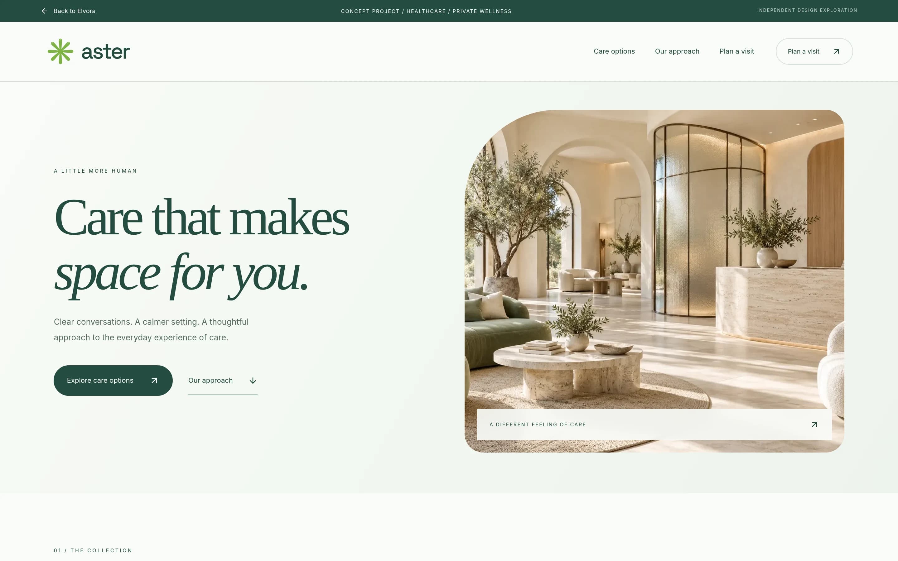 Aster Care: actual browser capture of the home page desktop from the fictional custom concept website