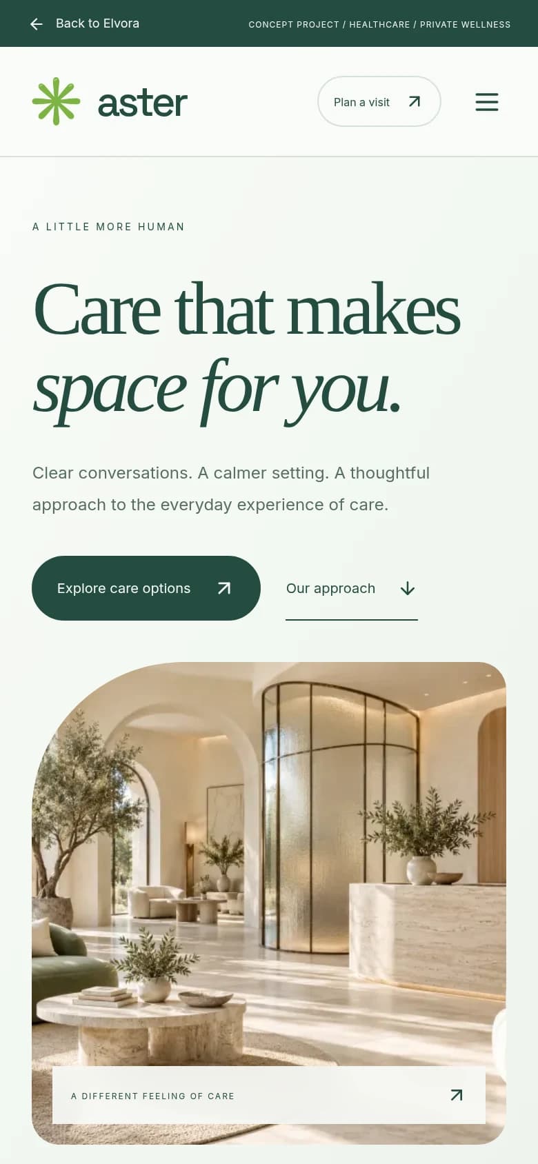 Aster Care: actual browser capture of the mobile view from the fictional custom concept website