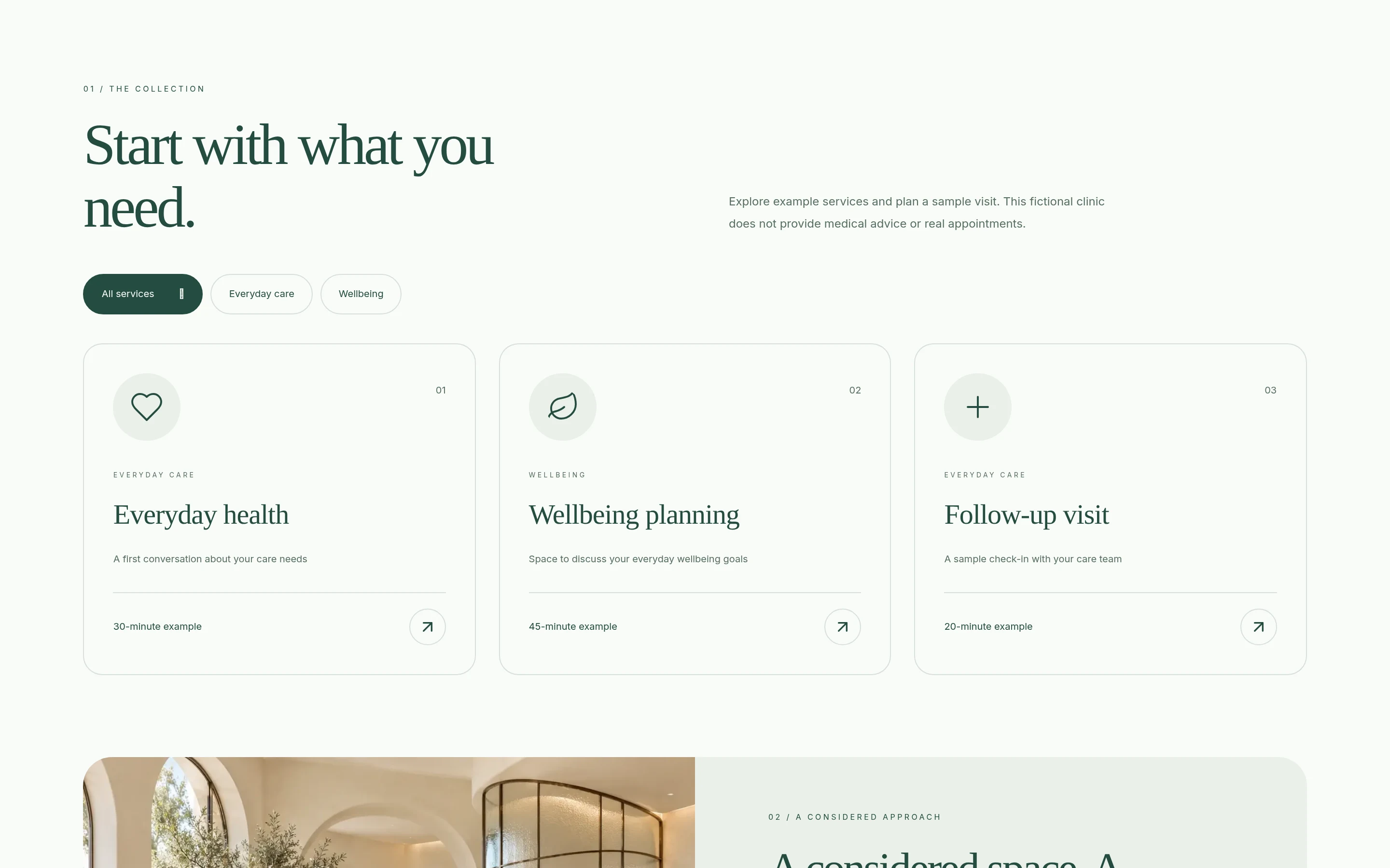 Aster Care: actual browser capture of the collection / inner page from the fictional custom concept website